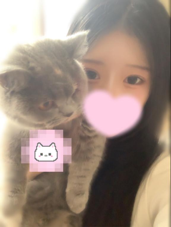 にゃん🐱