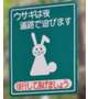 道路で遊ふうさぎ