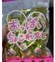 おっぱいチョコ(*σ･ω･｡)σﾂﾝﾂﾝ
