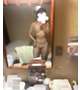 何屋さんですか？