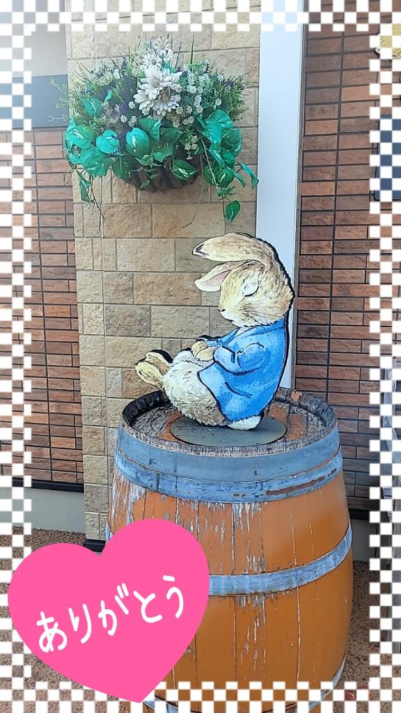 ☆おやすみなさい☆