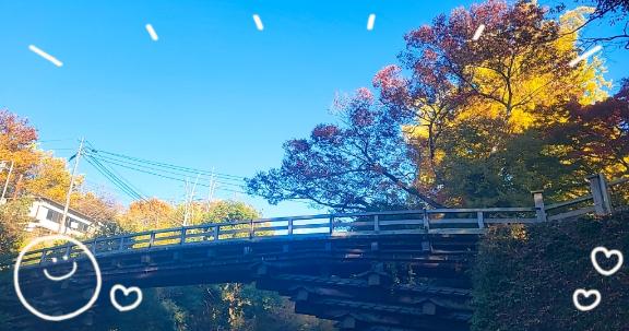 ☆おやすみなさい☆