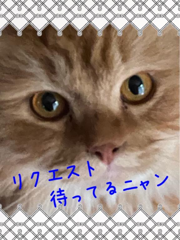 こんばんは