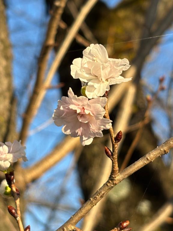 ♡仲良しＫ様♡