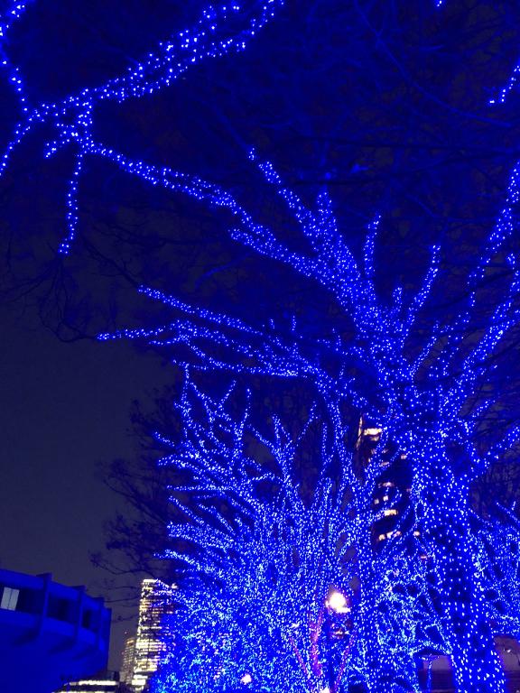 年末年始の御予定は？