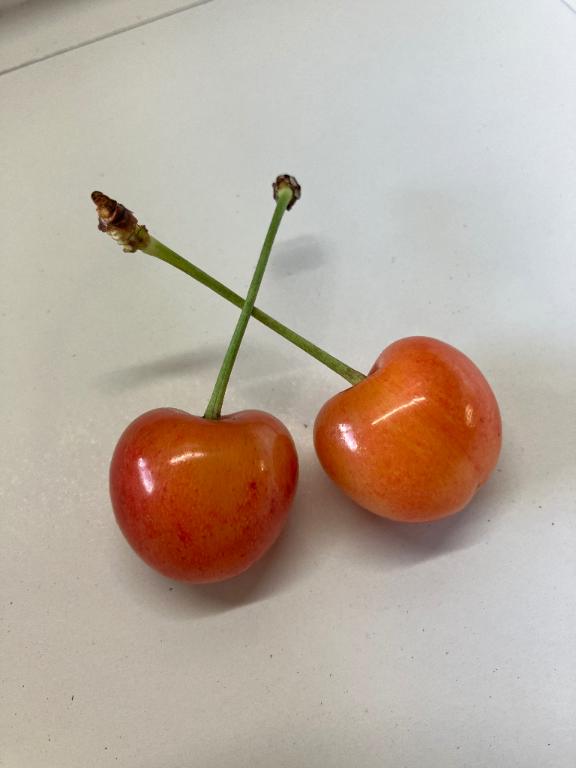 また会いたいなぁ。