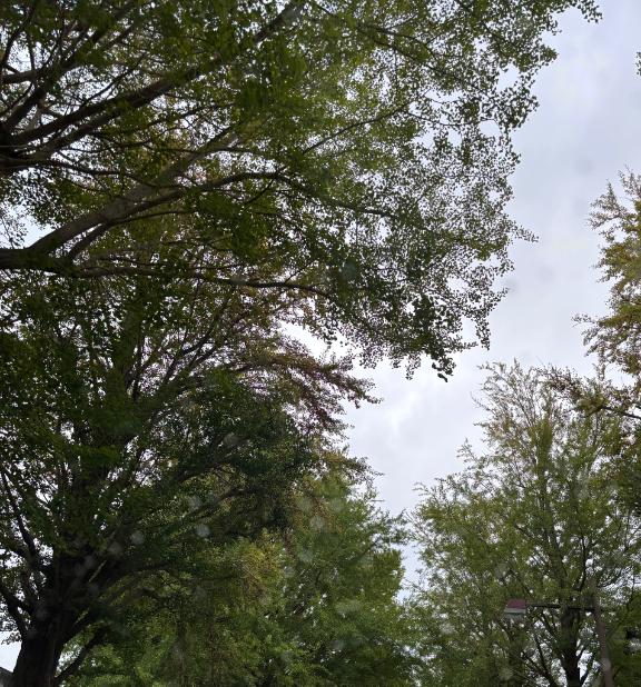 お疲れさまです🍵