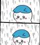 申し訳ございません😿