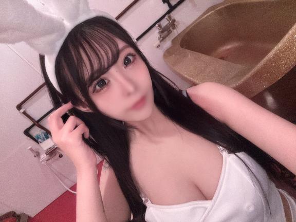 本日から🐰