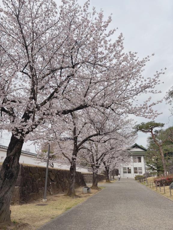 🤍3月もありがとう🌸