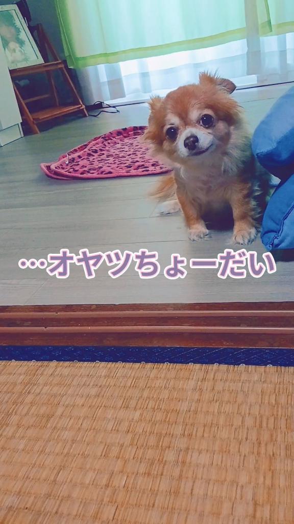 寸足らず