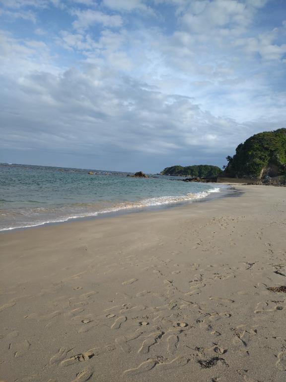 こんにちは(*^^*)