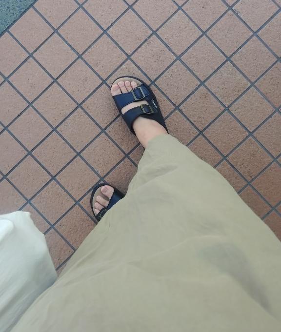 昼日記