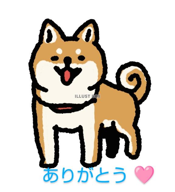 桜とうさぎ🐇