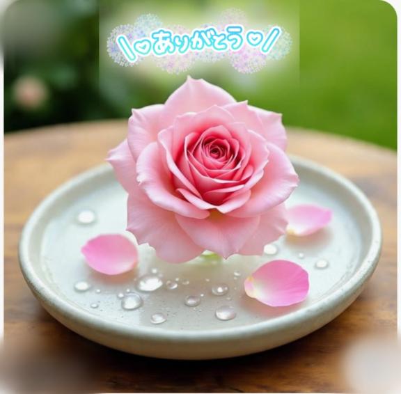 感謝です🫶✨