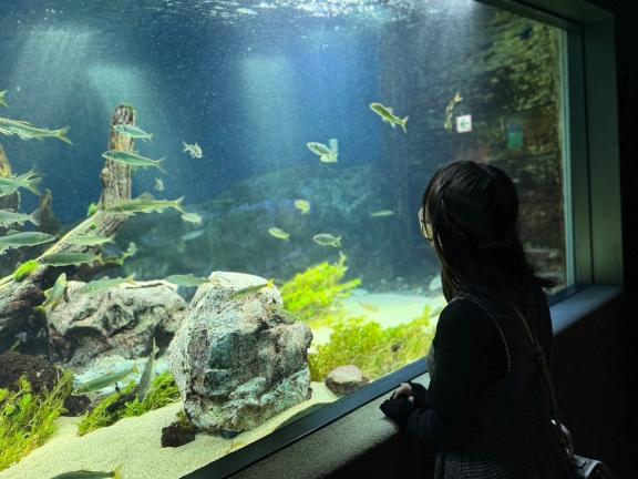 こんにちわん🐶