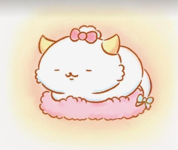 🐻‍❄️🎀