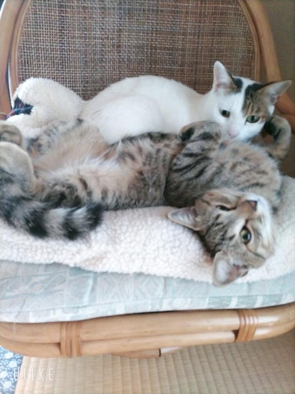 超インドアが‼️