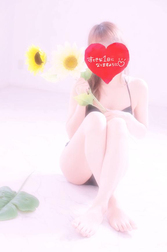 今週🌻🌻