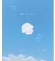 真我