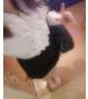 会えるの待ってるね♡
