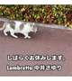 怪我によりしばらくお休みします。