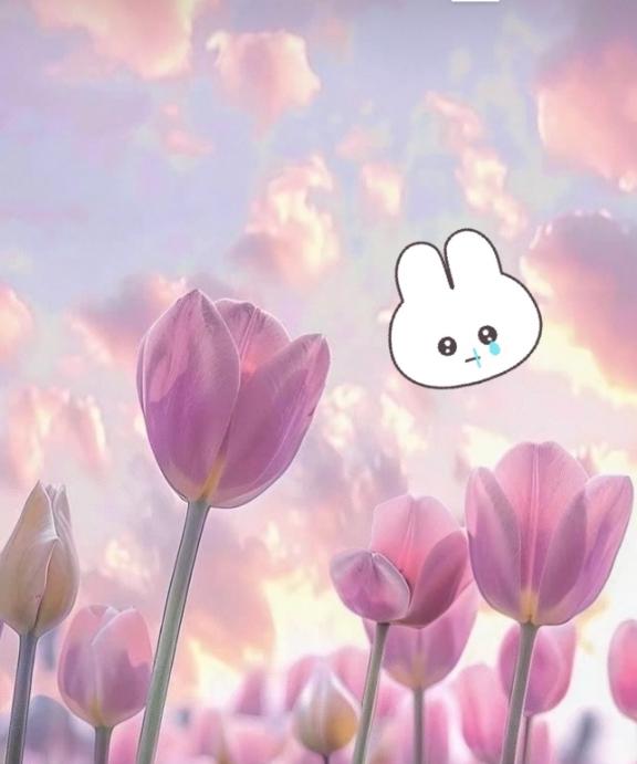 ごめんなさい🙏