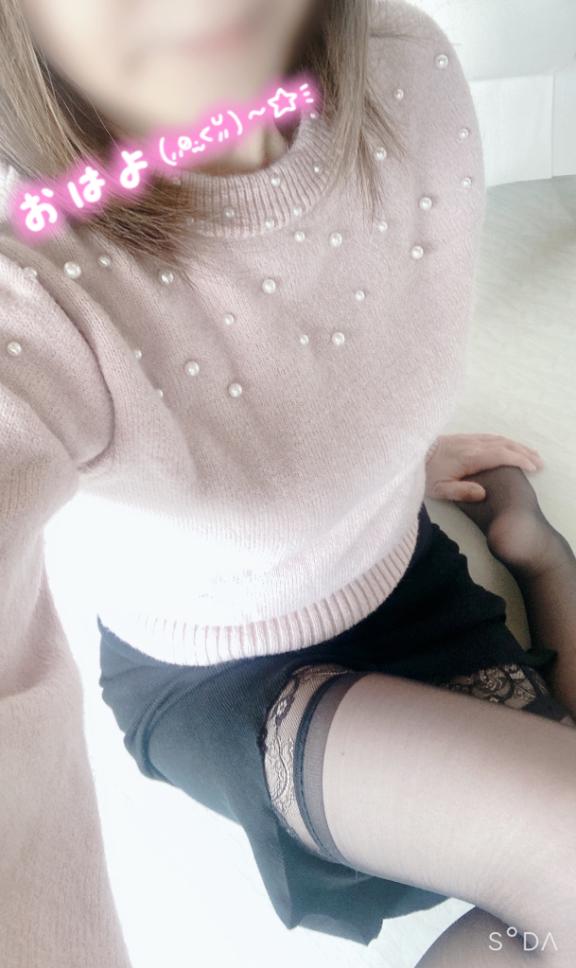 穏やかな朝🔆｡°