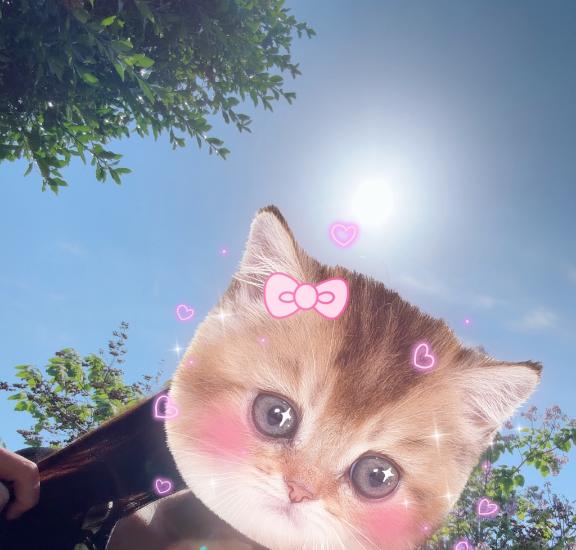 ありがとう❤️のキモチ・・