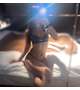 さっきのお兄さんありがとう🎶