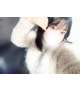 🤍今月もありがとう👍🏻💕︎
