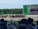 新潟競馬場🐴