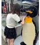 今日の癒し🐧♡