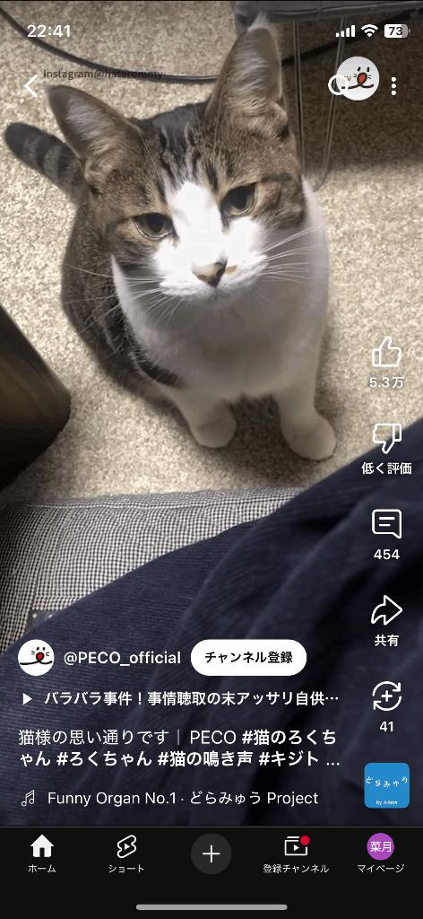 写メ日記サムネイル