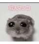 推しについて語ろう😖💕