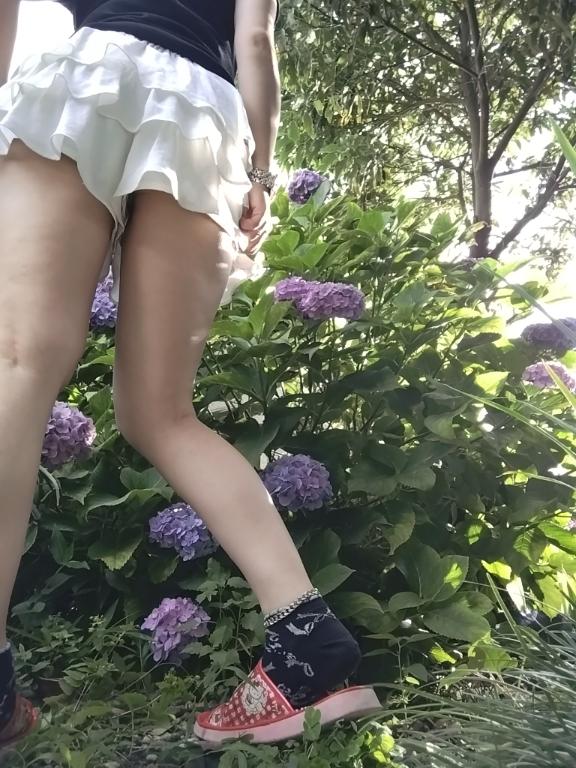 紫陽花☆