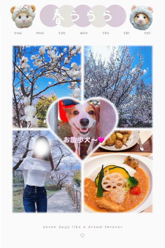 写メ日記サムネイル