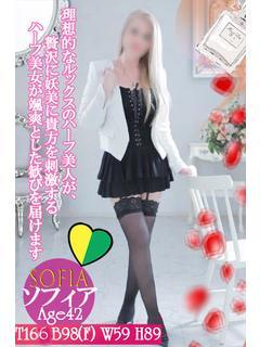 🔰新人💗ソフィア💗
