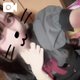 可愛い衣装🐰