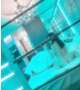 推しキャラ！