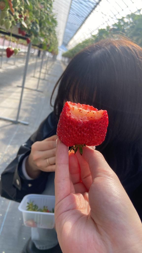 ゆのんの大好物🍓