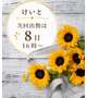 読んでほしいな。。♡♡