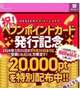 ヘブンポイント