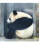 sorry。