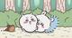 🍑ありがとう🍑