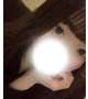 あと2日❣️