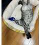 エロがわかりません