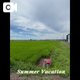 夏休み〜🌿𓂃◌𓈒𓐍