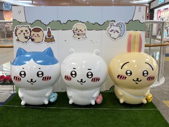 しぇいしぇい