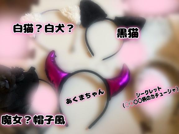 明日は、黒猫たん🩷